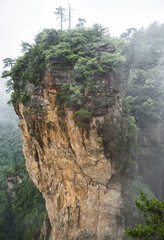 Yuanjiajie Scenic Area with clouds and mist, Wulingyuan, Zhangjiajie National Forest Park, Hunan Province, China, Asia