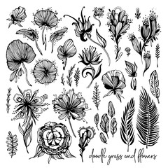 Set of black and white exotic flowers, doodle elements. Vector illustration, Great design element for congratulation cards, banners and others