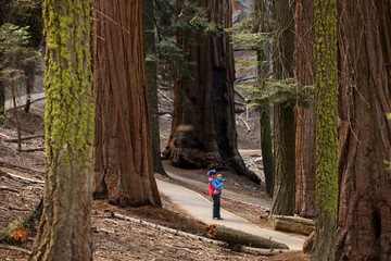 Mother with infant visit Sequoia national park in California, USA