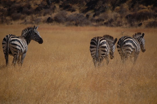 Ethiopie - Arba Minch