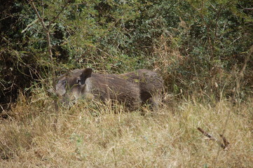 Ethiopie - Arba Minch