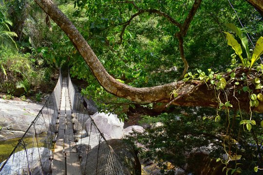 Rope and Wire suspended hanging bridge across a Jungle River in El Eden by Puerto Vallarta Mexico where movies have been filmed 