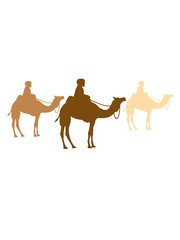 wettrennen reiten händler reise karawane 3 freunde team crew handel herde reihe kamel silhouette umriss schwarz dromedar höcker wüste zoo