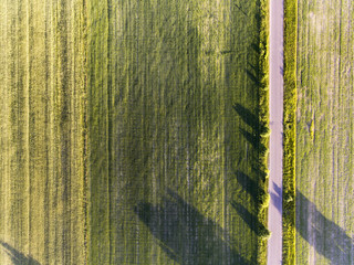 Road and green fields. © Tomasz Warszewski