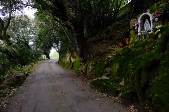MONTEHANO SANTO&Ntilde;A