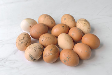 chicken eggs on marble