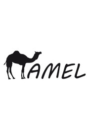 text logo kamel silhouette umriss schwarz dromedar höcker wüste zoo