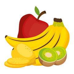 fresh fruits set menu vector illustration design