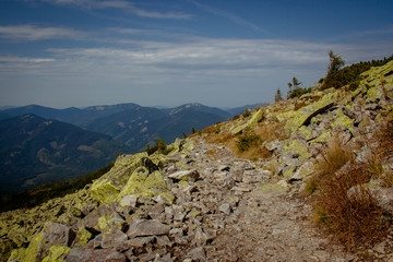 The road in the Carpathian mountains.  Ukraine.