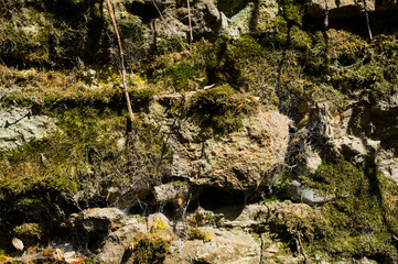 Old stone brick walls of natural stone with moss dust cobweb and mud textured background