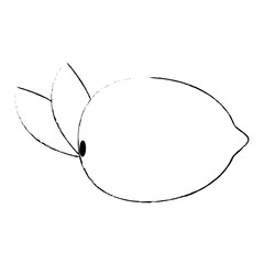 guava fresh fruit healthy vector illustration design