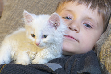 A young and cheerful little boy is playing with a white cat on the couch