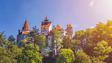Fototapeta na wymiar Bran (Dracula) historical castle of Transylvania, in Brasov region, Romania, Europe