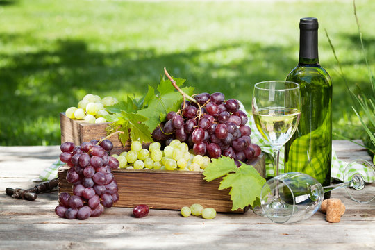 White wine and grape