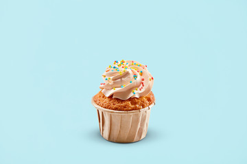Cupcake. Cake Dessert On Colorful Background