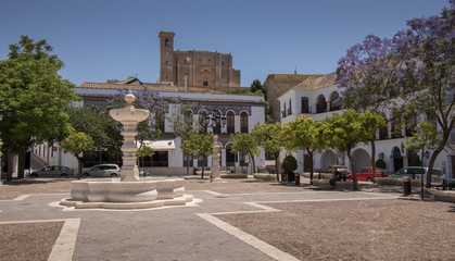 Fototapeta na wymiar Plaza Mayor de Osuna