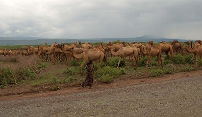 Fototapeta na wymiar Ethioipie - Awash