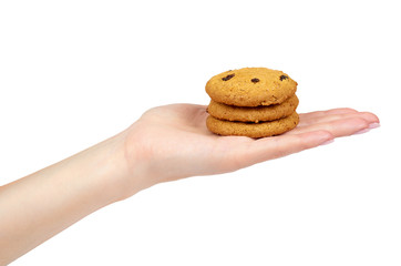 Home made oragnic chocolate chips cookies with raisins in hand. Isolated on white background