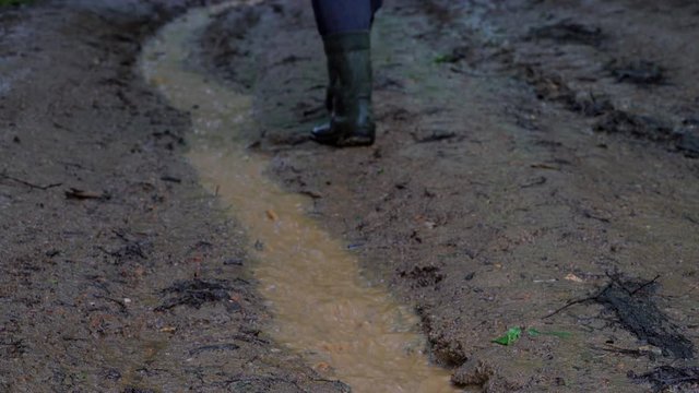 Man goes wet forest path next to stream of rain - (4K)