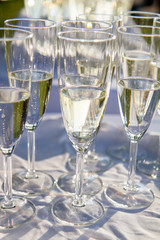 Champagne in flute glasses at a wedding