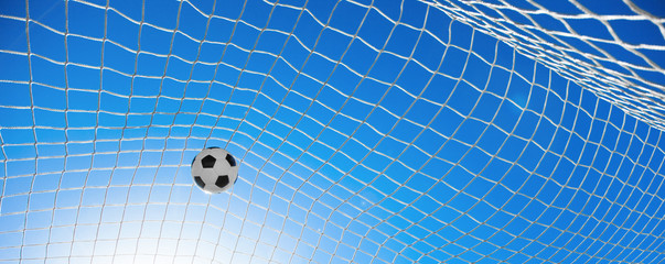 Ball im Netz © Thaut Images