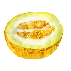 Watercolor illustration. Half a melon.