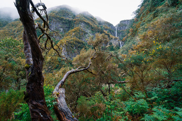 Risco Wasserfall - Wandern auf Madeira - Rabaçal