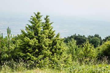 Panorama Mount Olympus, Greece