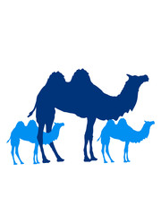 mama papa familie nachwuchs junge babys kinder 2 höcker kamel silhouette umriss schwarz dromedar höcker wüste zoo