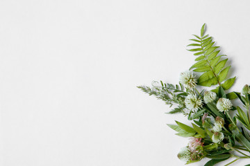 bouquet of clover on a white background © Tatiana Nurieva