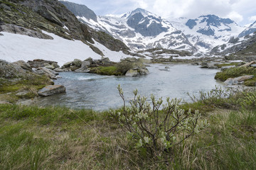 Fototapeta premium Alpenlandschaft Bergfrühling Schweiz - Sustenpass Steingletscher Wasser Landschaft mit Schneeberge im Hintergrund