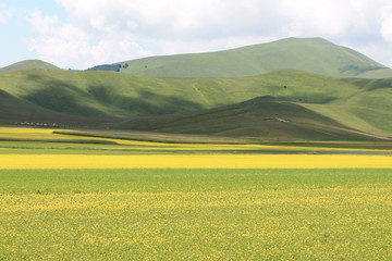 i colori di castelluccio di norcia durante la fioritura