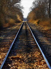 Fototapeta premium Railroad tracks running towards the horizon in a rural setting