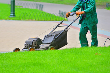 Fototapeta premium Grass moving in a park with a machine