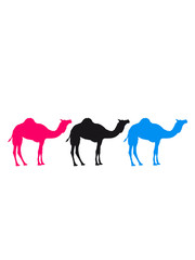 karawane 3 freunde team crew handel herde reihe kamel silhouette umriss schwarz dromedar höcker wüste zoo