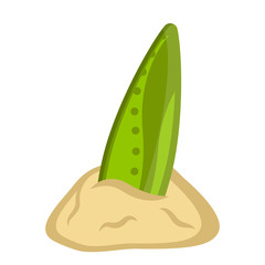 Isolated surfboard on sand icon