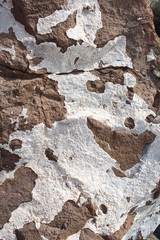 A natural stone of beautiful structure with cracks and interspersions close-up.