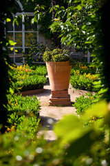Fototapeta na wymiar Jardin paysagé, arbustes et plantes en France