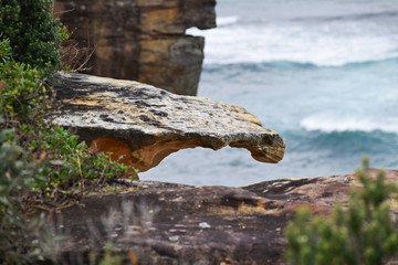 Naklejka premium Australia Coast