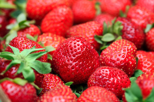 Best background with freshly harvested strawberries in big frame picture. Fresh organic and ripe red strawberry in macro picture. Conceptual image for banners, covers and other design projects.