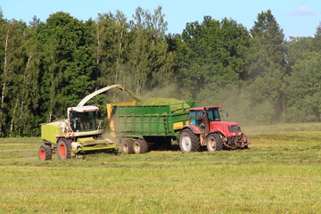 Agriculture, harvesting - yellow white combine harvester harvests silage in red tractor with green trailer on green field in summer afternoon on forest and clear blue sky background, front side view