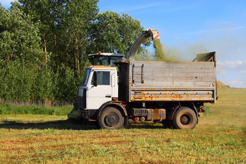 Agriculture, harvesting, rural landscape – Onboard truck for loading crops on the background of the forest and the jib combine harvester, side view