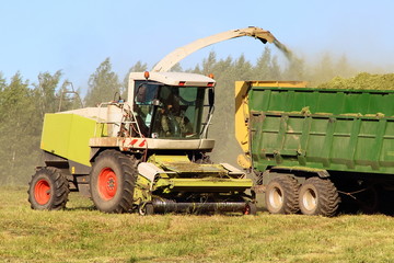 Agriculture, harvesting - yellow white combine harvester harvests silage in green trailer on green field in summer afternoon on forest and clear blue sky background, front side view