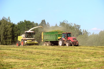 Obraz premium Agriculture, harvesting - yellow white combine harvester harvests silage in red tractor with green trailer on green field in summer afternoon on forest and clear blue sky background, front side view