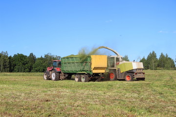 Agriculture, harvesting - yellow white combine harvester harvests silage in red tractor with green...