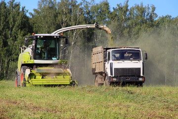 Agriculture, harvesting, rural summer landscape – new yellow-white harvester cutting the silage...