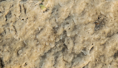 Textures of the stone brick walls