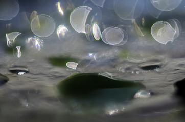 chemical experiment with paints