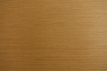 Naklejka premium Real Natural white wooden wall texture background. The World's Leading Wood working Resource