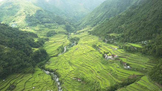 Aerial drone view flying along stunning rice terraces in the Banaue region of the Philippines